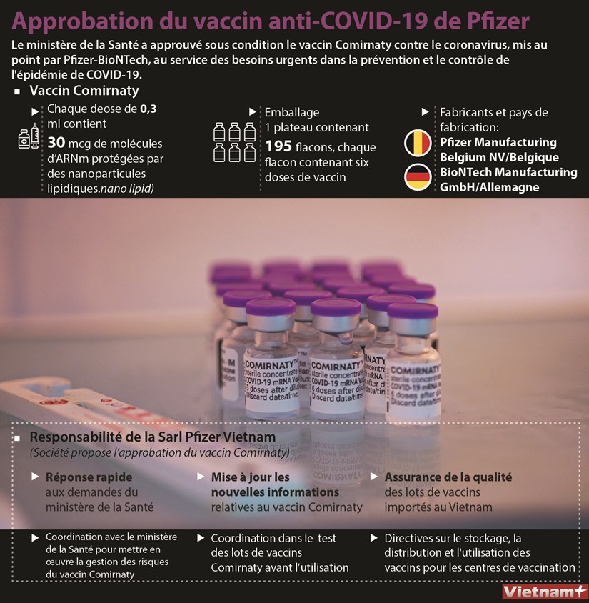 Approbation du vaccin anti-COVID-19 de Pfizer hinh anh 1