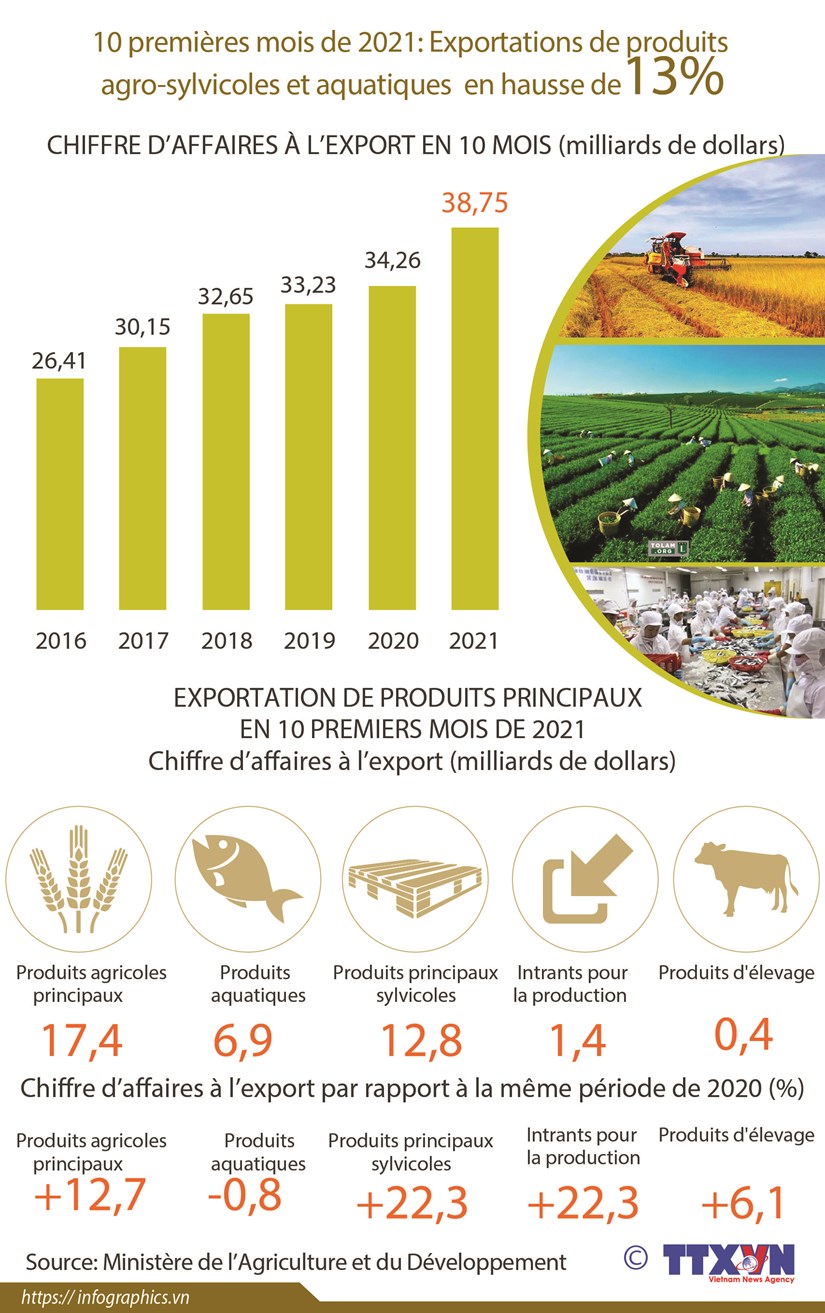 Exportations de produits agro-sylvicoles et aquatiques en hausse de 13% en 10 mois hinh anh 1