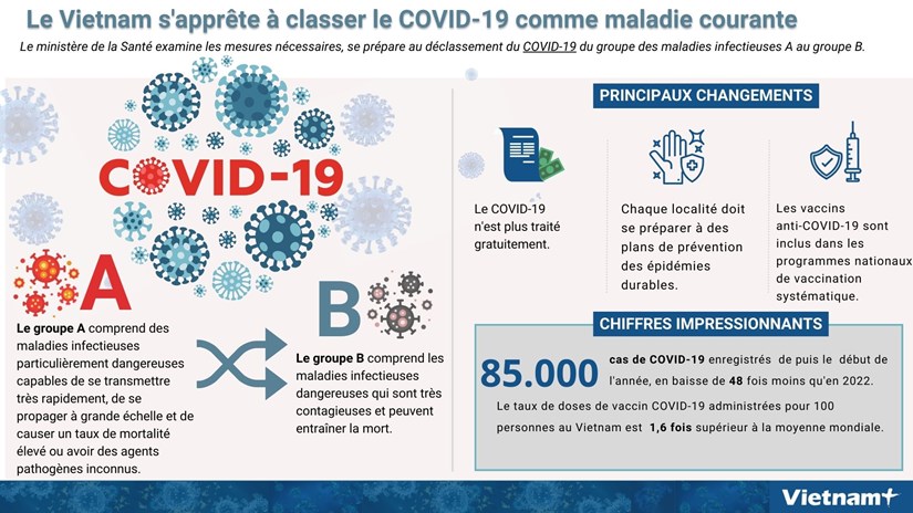 Le Vietnam s'apprete a classer le COVID-19 comme maladie courante hinh anh 1