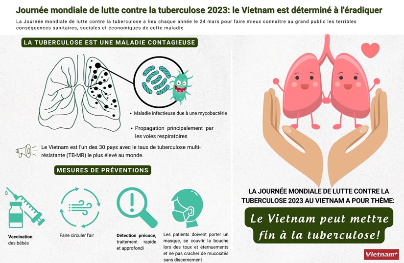 Journee mondiale de lutte contre la tuberculose 2023: le Vietnam est determine a l'eradiquer hinh anh 1