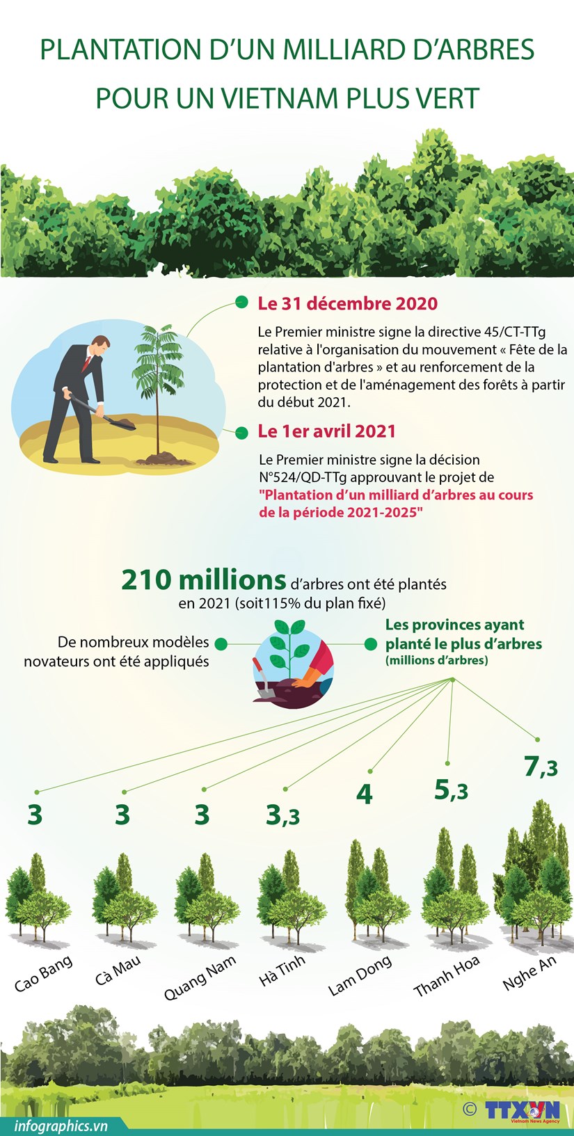 Plantation d’un milliard d’arbres pour un vietnam plus vert hinh anh 1