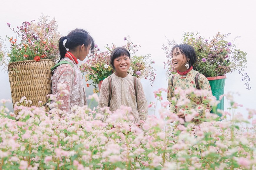 Ha Giang au temps de la floraison des champs de sarrasin | Tourisme |  Vietnam+ (VietnamPlus)